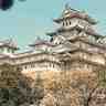 Himeji, le château dit « du Héron blanc »